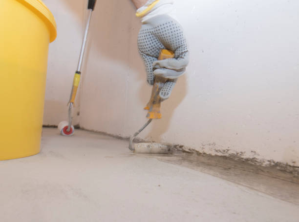 Best Fumigation Services  in Leadington, MO